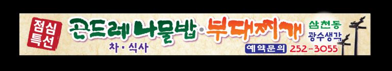 광수생각 수정본