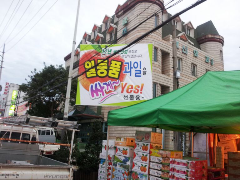 일드품과일