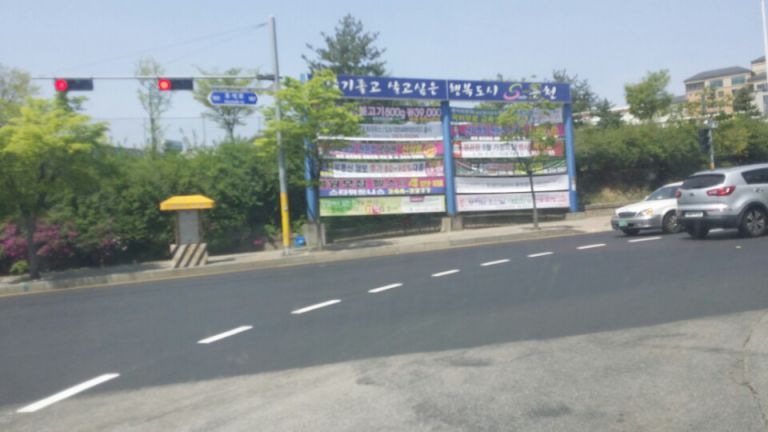 나무