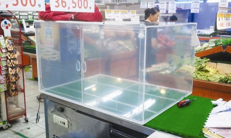 본족발