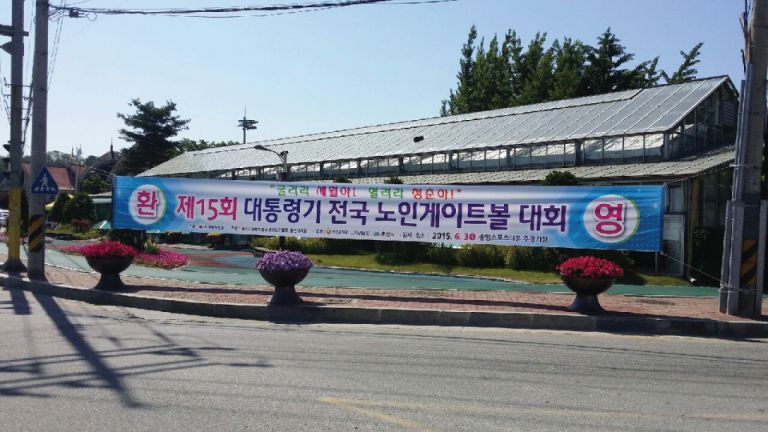 제15회 전국노인게이트볼대회-길거리용