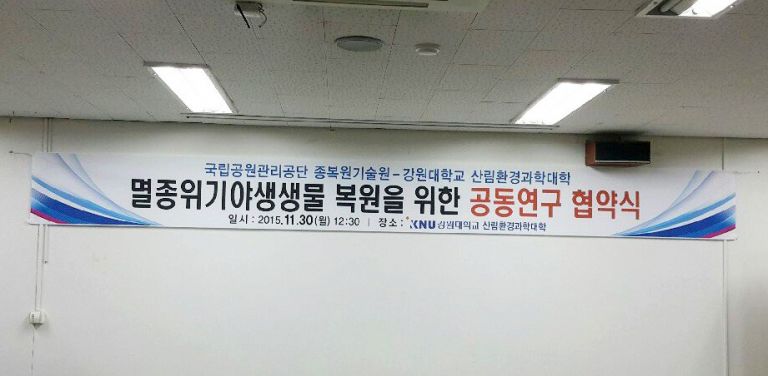 강원대학교