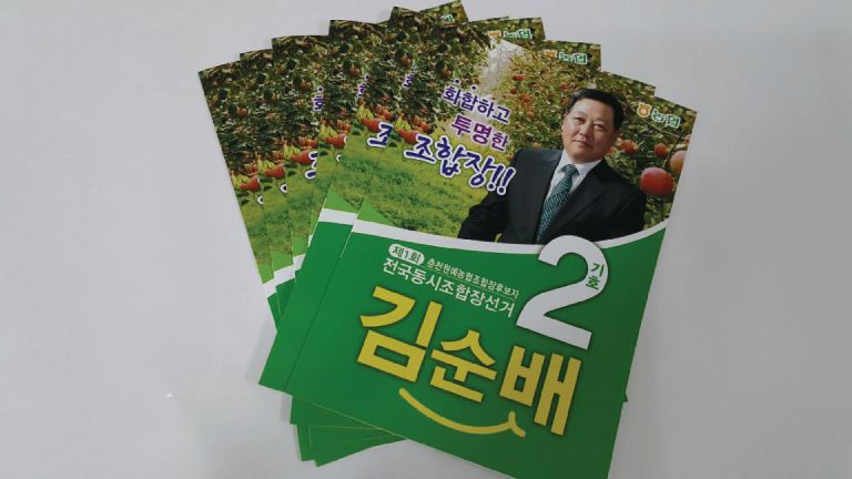 춘천원예농협조합 선거리플렛