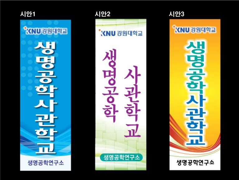 강원대 베너시안